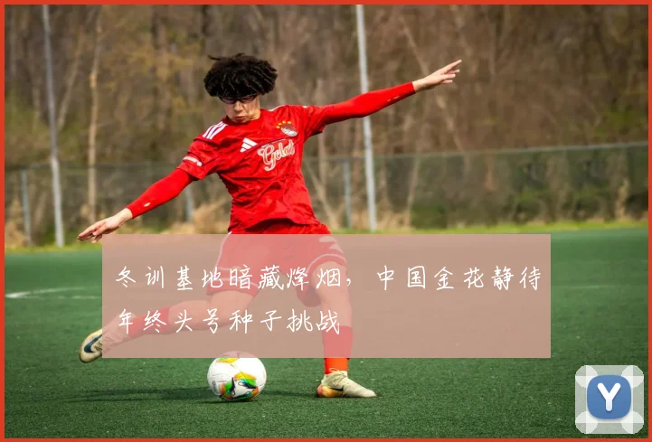冬训基地暗藏烽烟，中国金花静待年终头号种子挑战